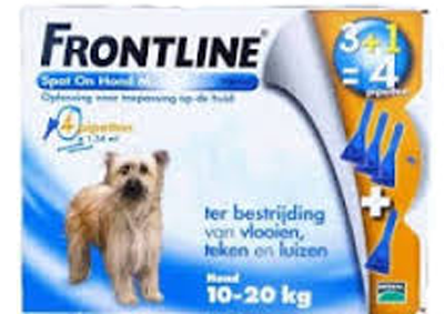 Frontline hond spot-on m 10-20kg 4 pip